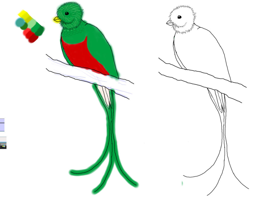 1024x804 Quetzal Flying Drawing - Quetzal Drawing
