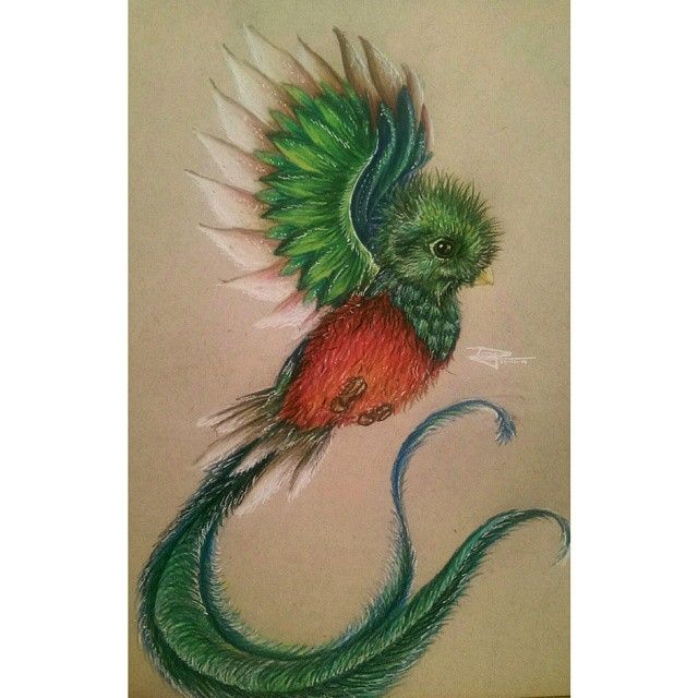 640x640 Quetzal - Quetzal Drawing