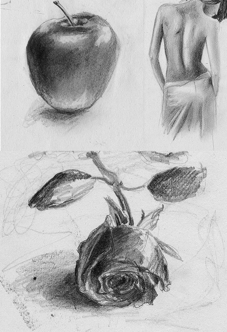 738x1082 quick drawings - Quick Drawing