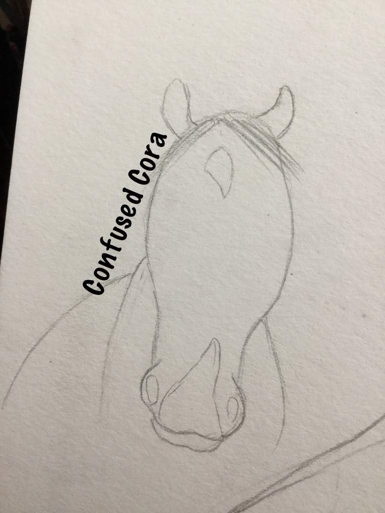768x1024 quick sketch of a horse! star stable online amino - Quick Drawing Online