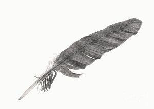 Quill Drawing at PaintingValley.com | Explore collection of Quill Drawing