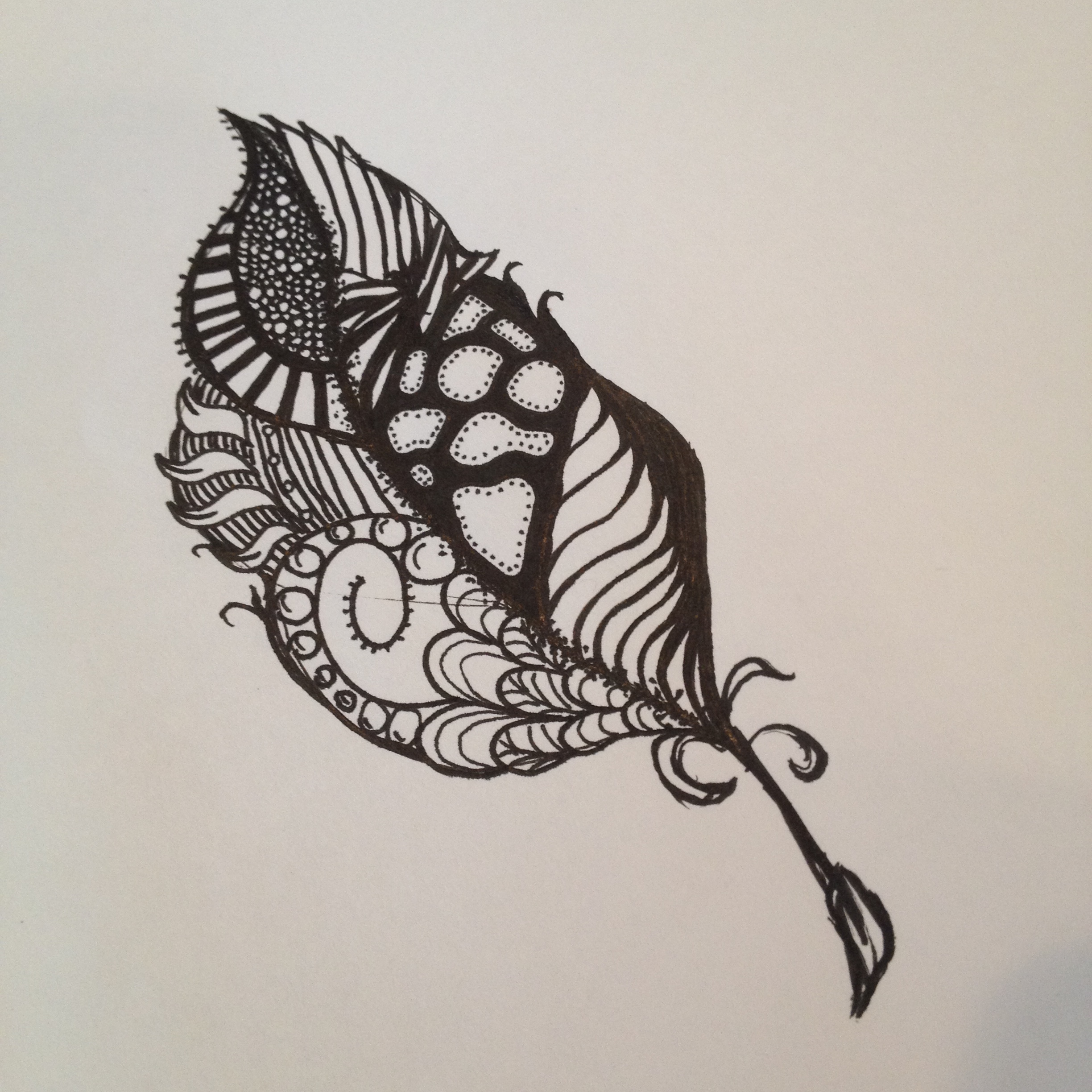 2448x2448 quill pen drawing coffee beans sparkles - Quill Pen Drawing