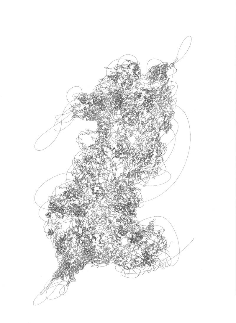 800x1091 Artwork - Quince Drawing