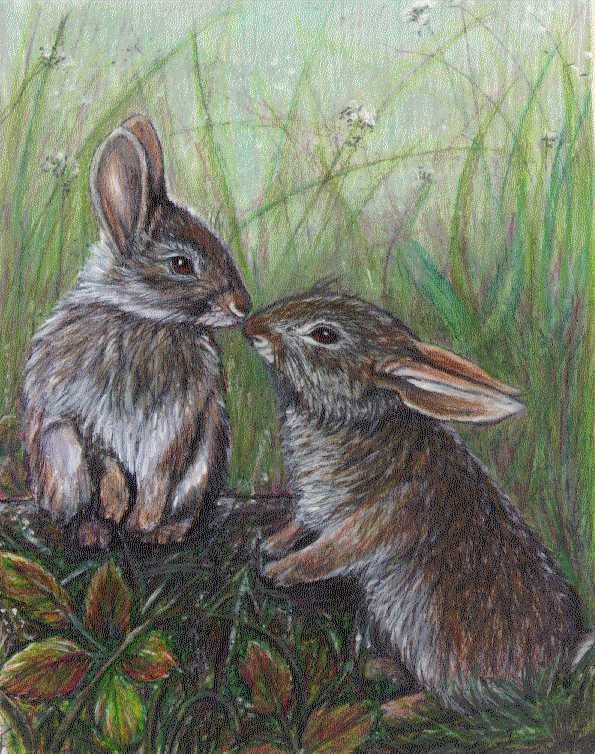 595x754 Bunny - Rabbit Drawing For Kids