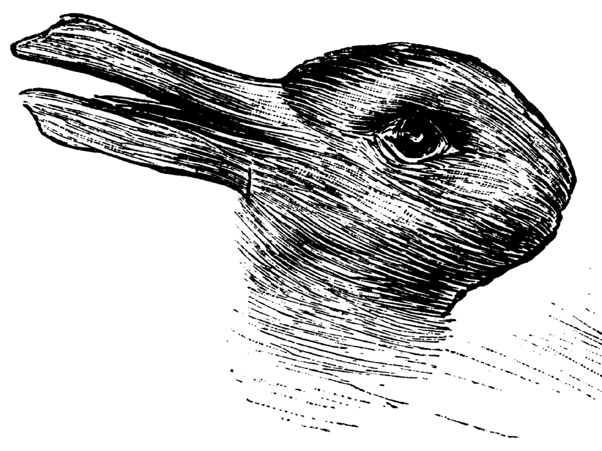 2048x1536 Duck Or Rabbit The Year Old Optical Illusion That Could Tell - Rabbit Drawing Images