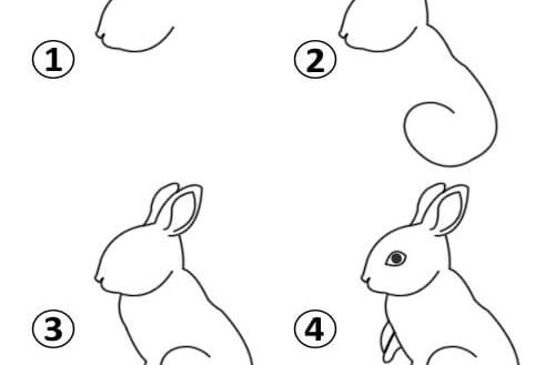 500x329 Rabbit Drawing Easy How To Draw A Cute Bunny Youtube Sweet - Rabbit Drawing Images