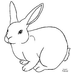 236x243 Rabbit Drawing Outline - Rabbit Drawing Images