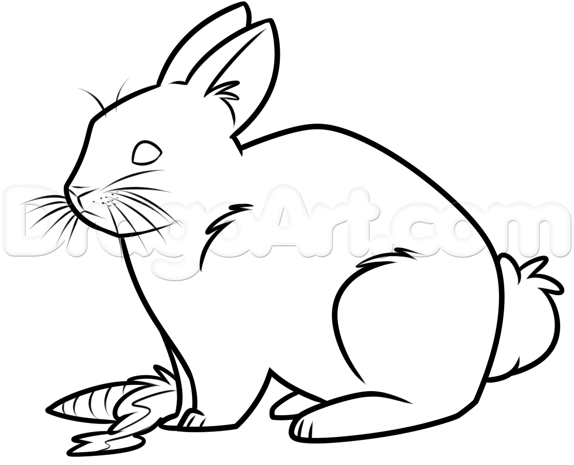 1118x906 White Rabbit Drawing Lesson, Step - Rabbit Drawing Images