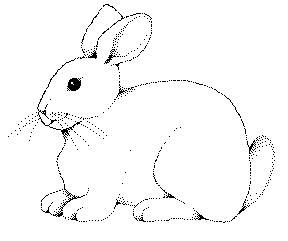 288x241 Rabbit Outline Drawing - Rabbit Drawing Outline
