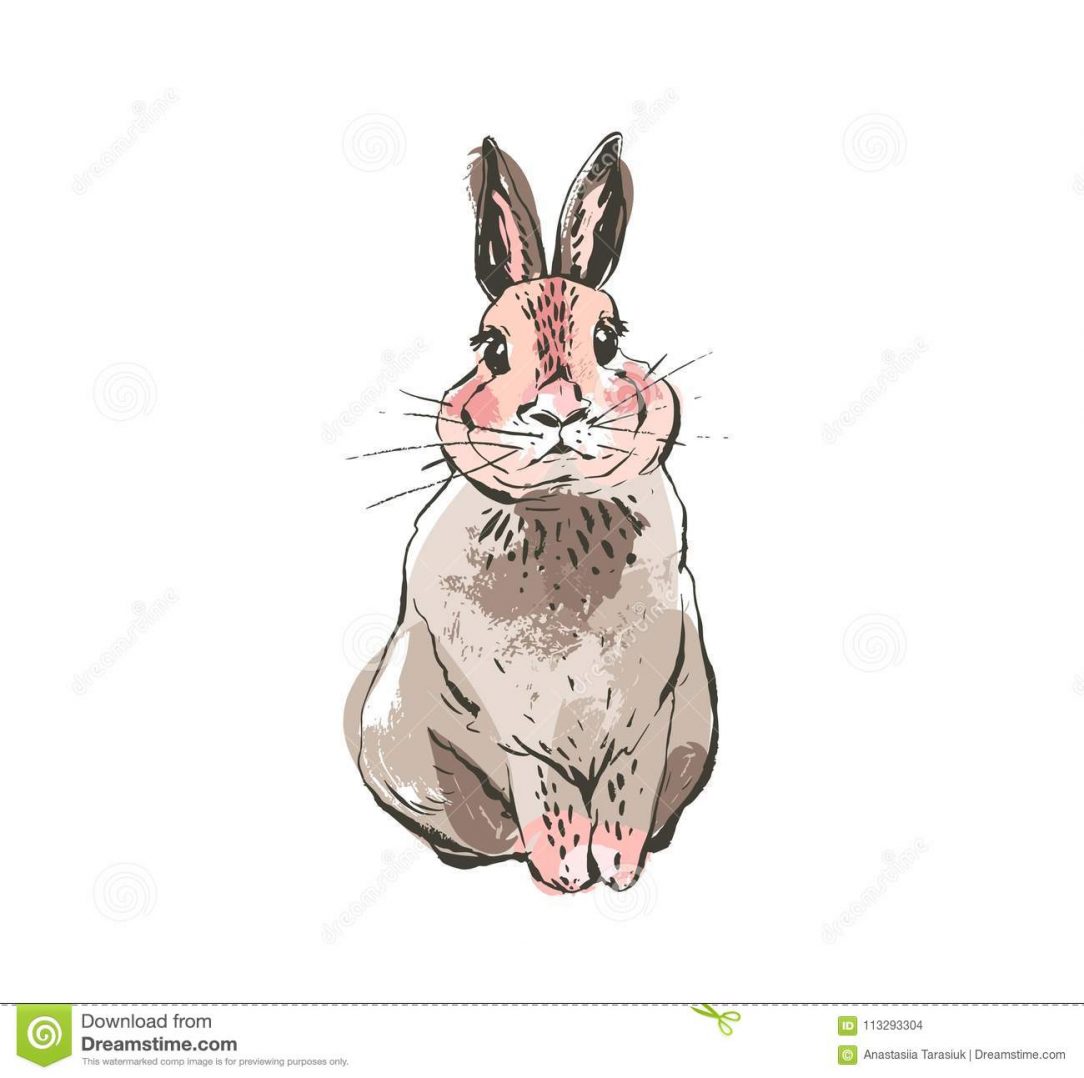 1084x1078 Angry Bunny Drawing Outline Easter Art A Face Simple Animal Jam - Rabbit Drawing Outline