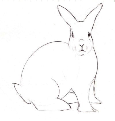 400x418 Best Photos Of Bunny Rabbit Outline Drawing - Rabbit Drawing Outline
