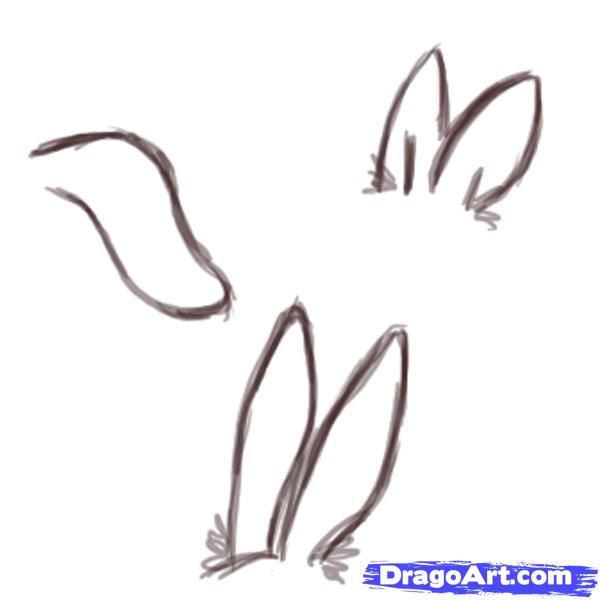Rabbit Ears Drawing at PaintingValley.com | Explore collection of