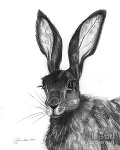 240x300 listening ears drawing - Rabbit Ears Drawing