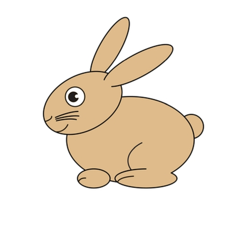 505x485 How To Draw A Rabbit Step - Rabbit Easy Drawing