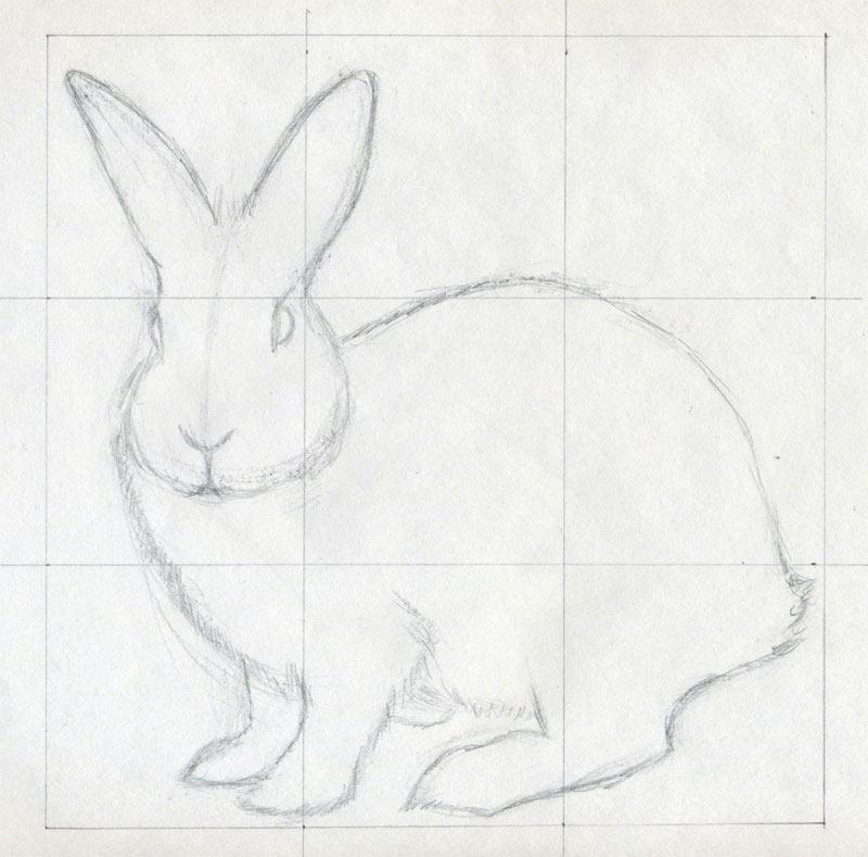 800x789 How To Draw A Rabbit - Rabbit Easy Drawing