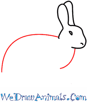 300x350 How To Draw A Rabbit - Rabbit Easy Drawing