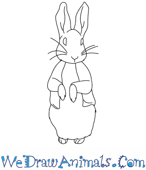 300x350 How To Draw Peter Rabbit - Rabbit Easy Drawing