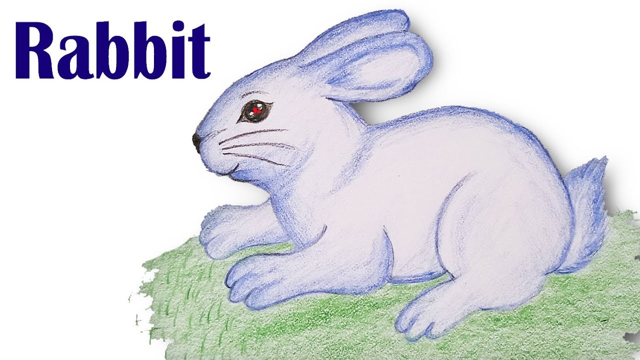 1280x720 How To Draw Rabbit Step - Rabbit Easy Drawing