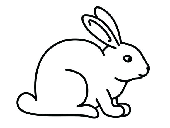580x435 How To Draw A Rabbit And How To Draw A Rabbit Bunny Drawing Draw - Rabbit Easy Drawing