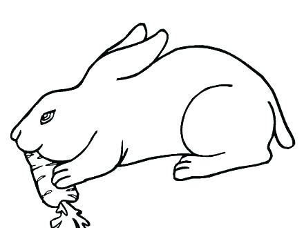 440x330 Carrot Coloring Pages Related Post Carrot Coloring - Rabbit Eating Carrot Drawing
