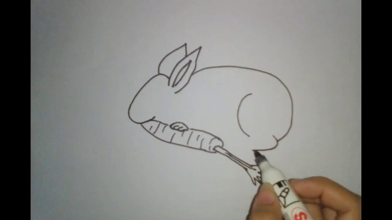 Rabbit Eating Carrot Drawing at Explore collection