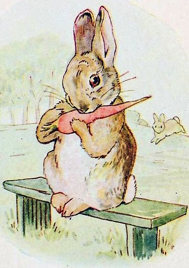 389x550 A Cute Rabbit Eating A Carrot - Rabbit Eating Carrot Drawing