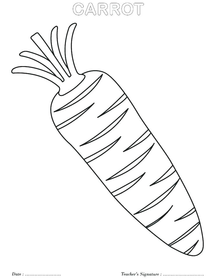 738x954 Carrot Coloring Pages - Rabbit Eating Carrot Drawing