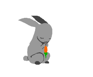 300x250 Rabbit Eating A Carrot Drawing - Rabbit Eating Carrot Drawing