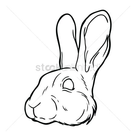 450x450 Free Rabbit Drawing Stock Vectors Stockunlimited - Rabbit Face Drawing