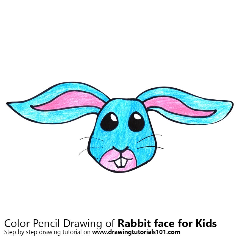 800x800 Learn How To Draw A Rabbit Face For Kids - Rabbit Face Drawing