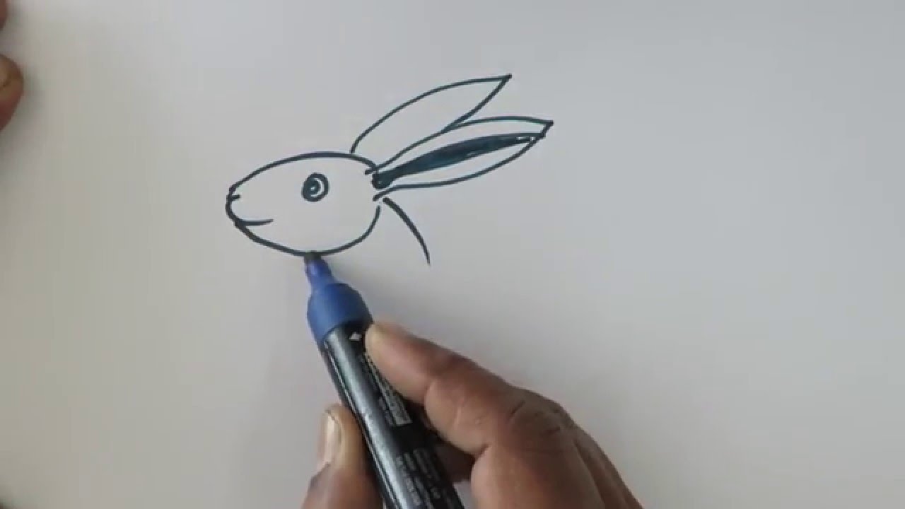 1280x720 Easy Steps To Draw Rabbit - Rabbit Face Drawing