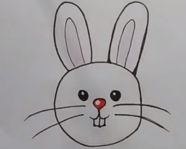 370x297 How To Draw Rabbit Face Archives - Rabbit Face Drawing