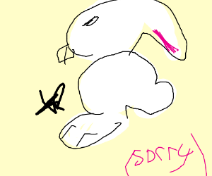 300x250 Rabbit Foot - Rabbit Foot Drawing