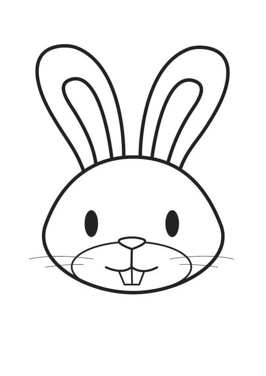 531x750 Coloring - Rabbit Head Drawing