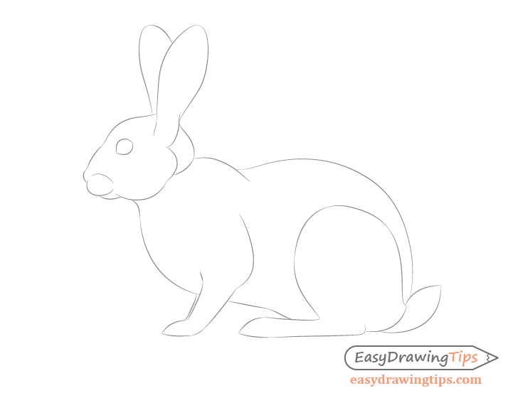 728x560 How To Draw A Rabbit Step - Rabbit Head Drawing