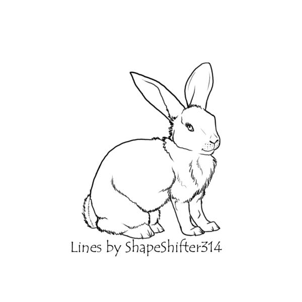 600x600 Rabbit Line Drawing - Rabbit Line Drawing