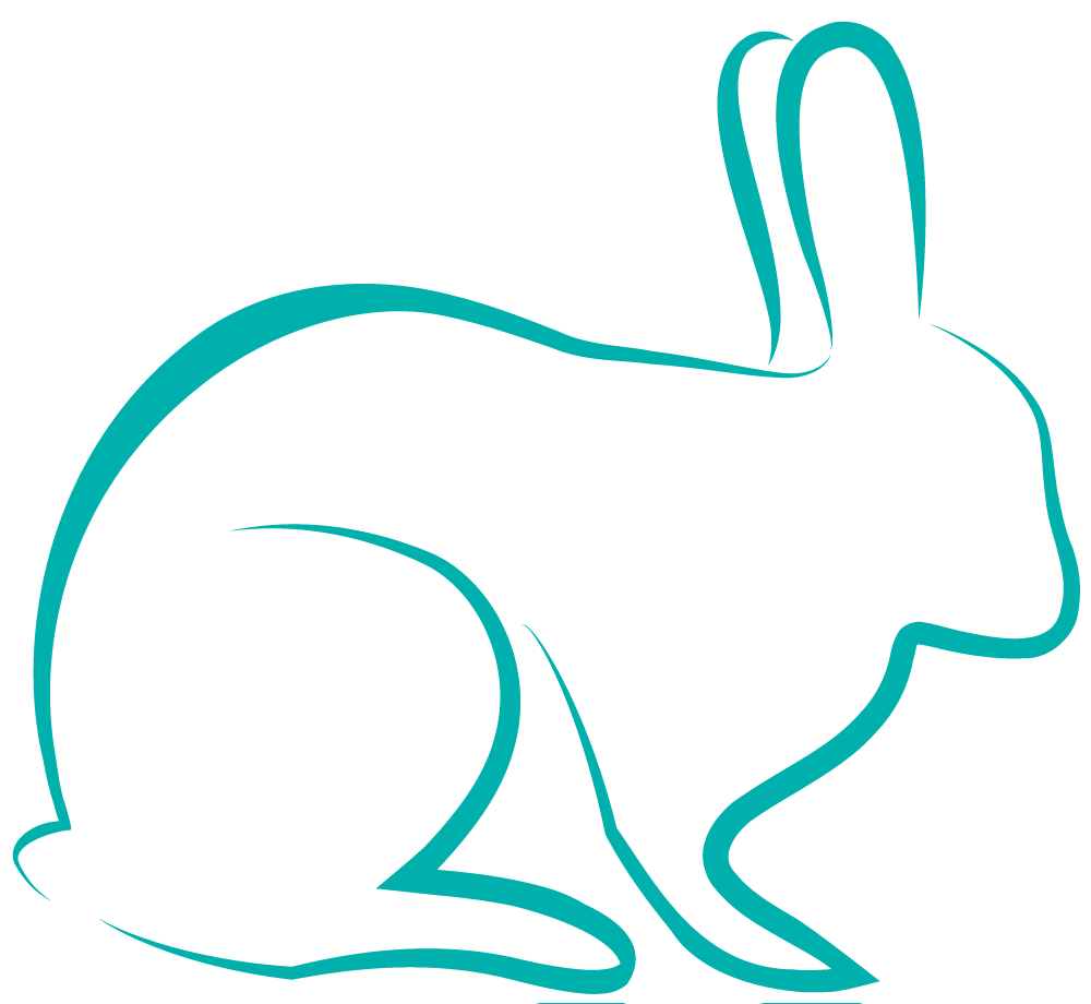 1000x920 Curicyn Implied Line Drawing Rabbit - Rabbit Line Drawing