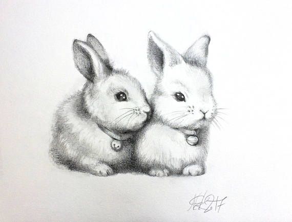 570x434 Original Graphite Pencil Drawing Of Sweet Rabbit Couple - Rabbit Pencil Drawing