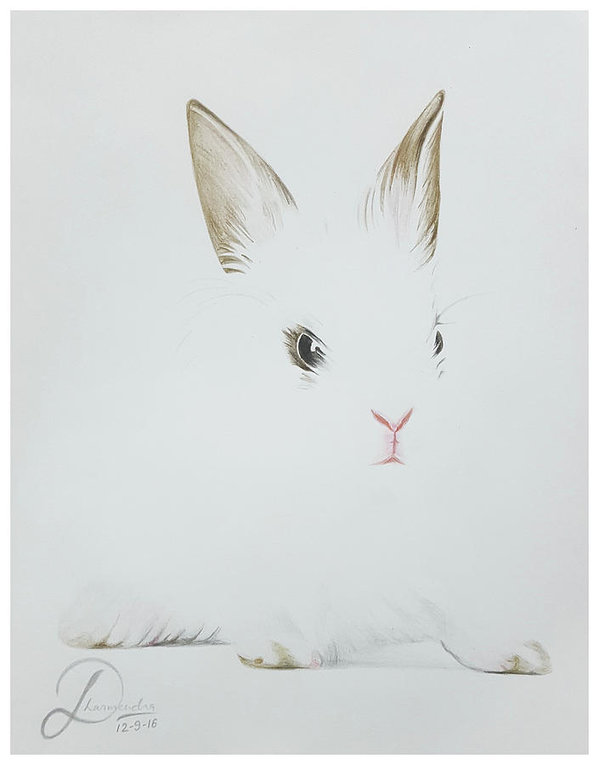 599x765 Rabbit Realistic Color Pencil Sketch Poster - Rabbit Pencil Drawing