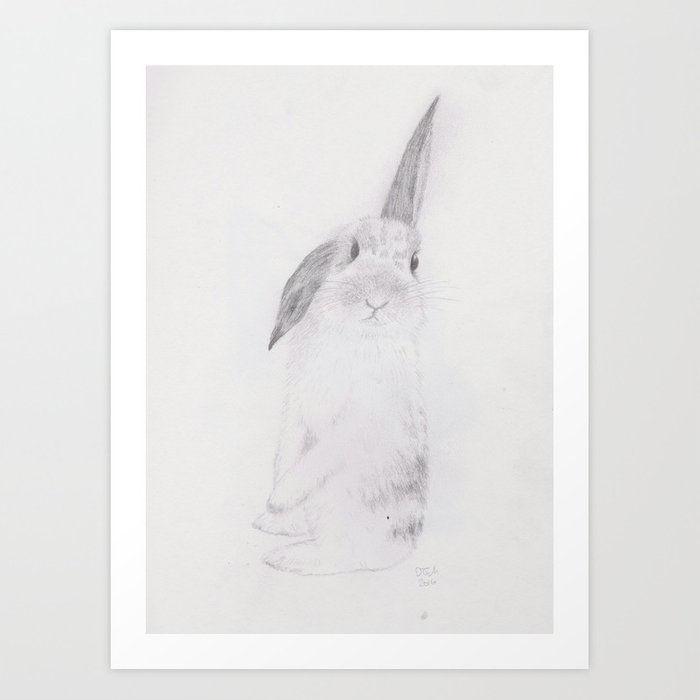 700x700 Rabbit Pencil Drawing Art Print - Rabbit Pencil Drawing