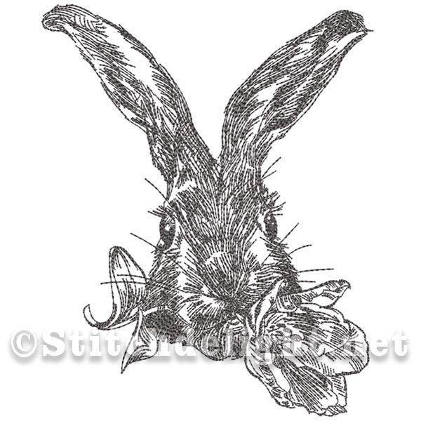 600x600 Stitch Delight Pencil Sketch Precilla Rabbit All Design - Rabbit Pencil Drawing