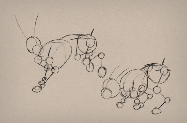 600x396 How To Draw Animals Hares And Rabbits - Rabbit Skeleton Drawing