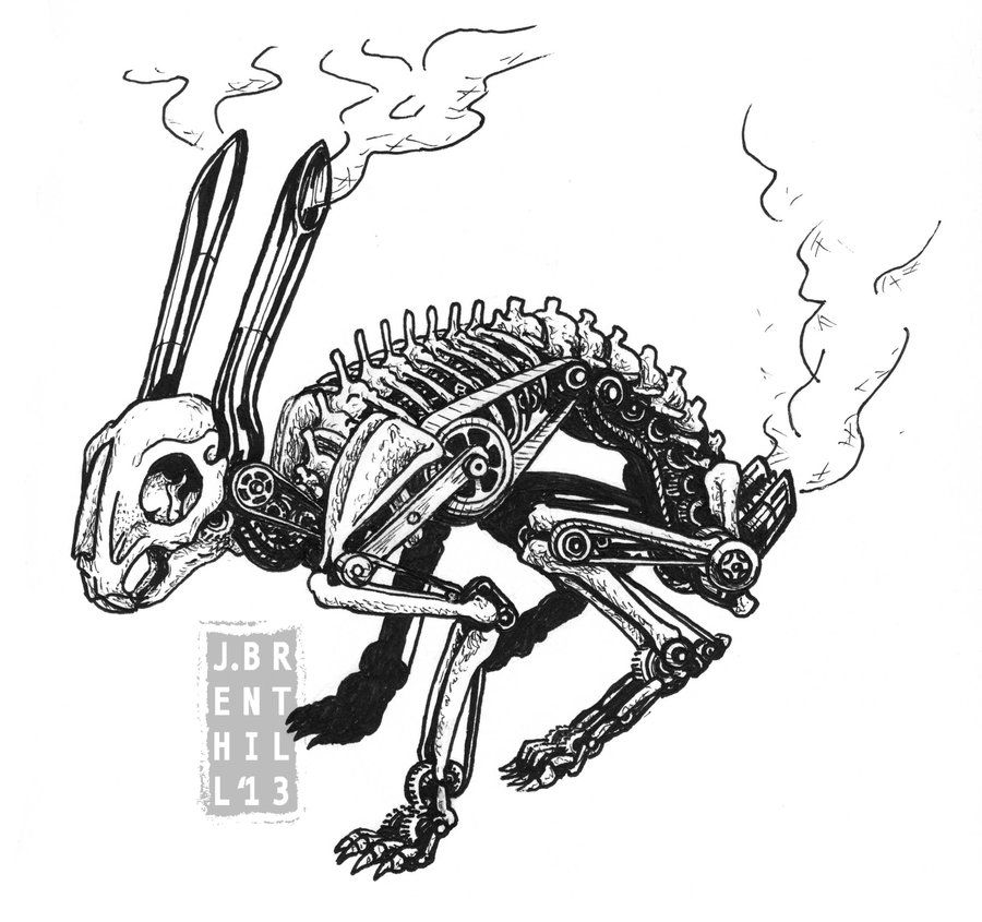 900x845 Mechanized Rabbit Skeleton - Rabbit Skeleton Drawing