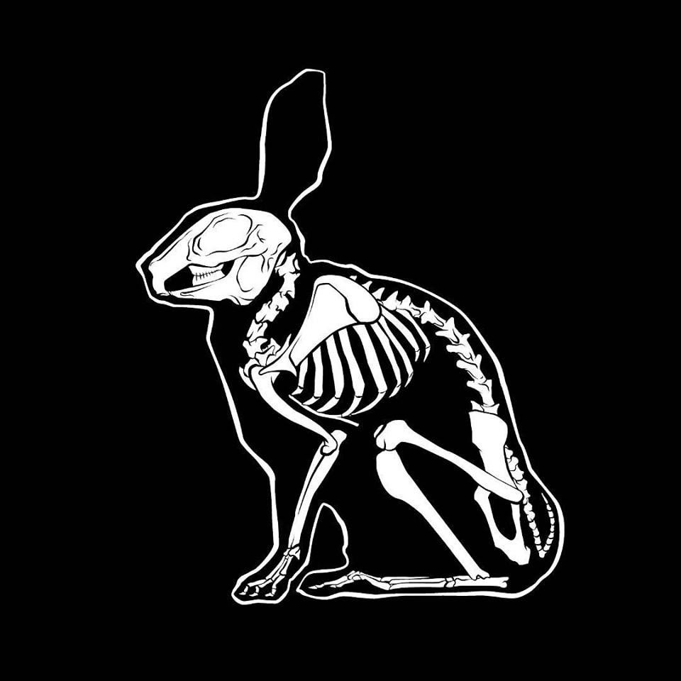 Rabbit Skeleton Drawing at Explore collection of