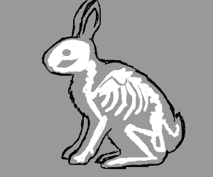300x250 Rabbit Skeleton Drawing - Rabbit Skeleton Drawing