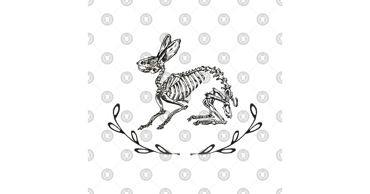 1200x630 Bunny Skeleton - Rabbit Skeleton Drawing