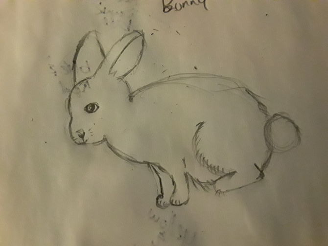 670x503 How To Draw A Bunny Steps - Rabbit Sketch Drawing