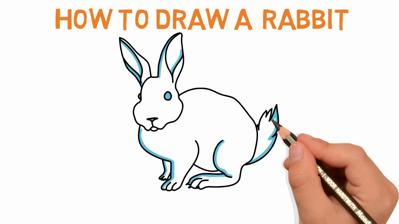 Rabbit Sketch Drawing at PaintingValley.com | Explore collection of ...