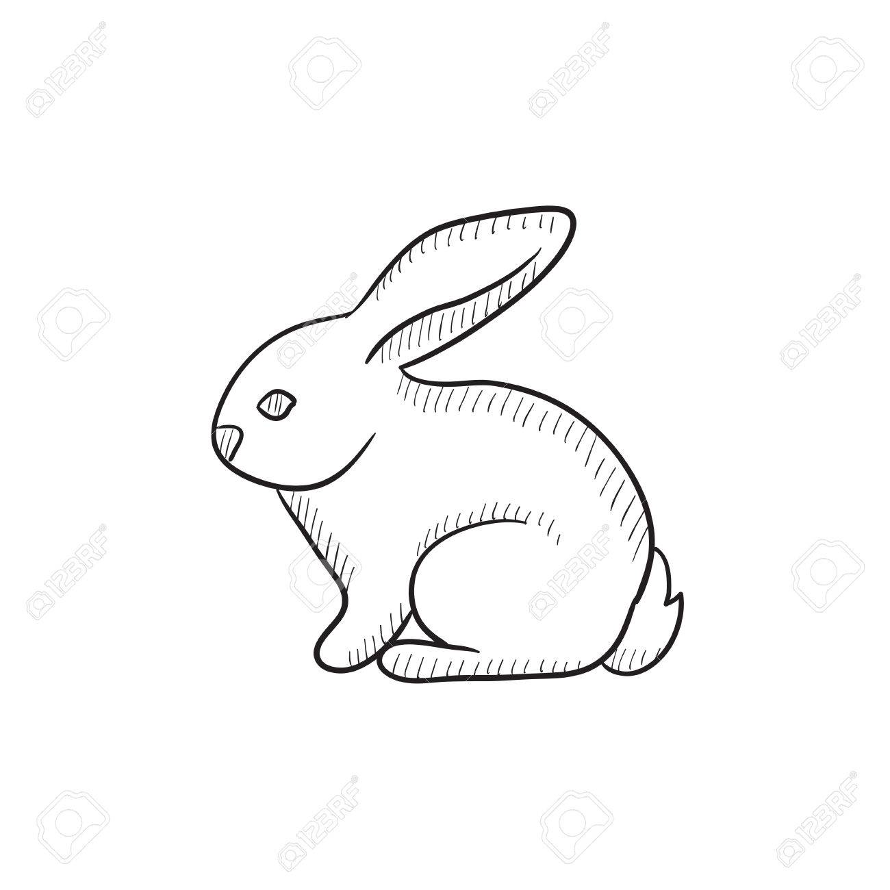 1300x1300 Rabbit Sketch Drawing - Rabbit Sketch Drawing