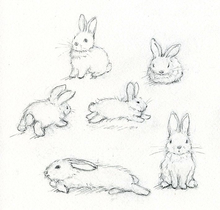 710x677 adorable art learn how to paint a beautiful bunny drawings - Rabbit Sketch Drawing